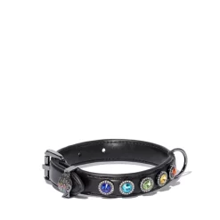 Buy 👍 KURT GEIGER LONDON Rainbow 🐕 Dog Collar - 150th Anniversary Exclusive Rainbow Multi 😉