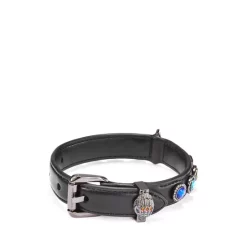 Buy 👍 KURT GEIGER LONDON Rainbow 🐕 Dog Collar - 150th Anniversary Exclusive Rainbow Multi 😉 -Luxury Women Shoes Shop unnamed file 982