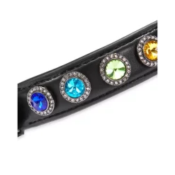 Buy 👍 KURT GEIGER LONDON Rainbow 🐕 Dog Collar - 150th Anniversary Exclusive Rainbow Multi 😉 -Luxury Women Shoes Shop unnamed file 983